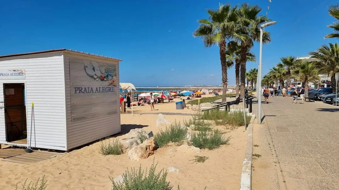 Upptäck mysiga il chiringo – en strandpärla i Palma Nova! illustration