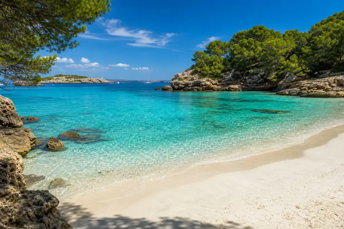 Upptäck charmiga Playa de Illetes – en paradisstrand! illustration
