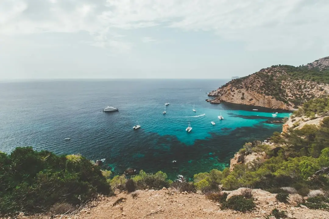 Upptäck charmiga port de Sóller i Mallorca illustration